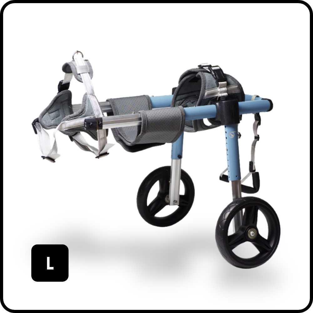 PetsTrot Medium Large Dog Rear Wheelchair