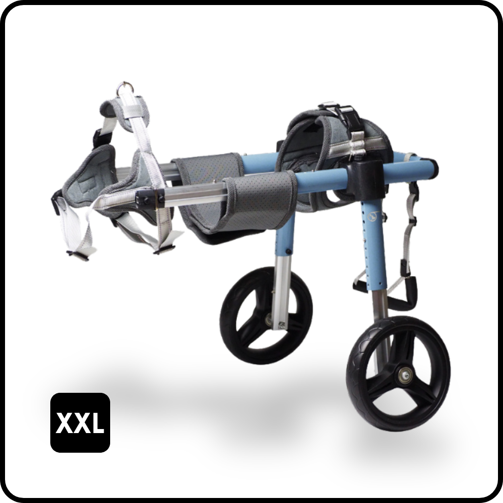 PetsTrot Extra Large Dog Rear Wheelchair