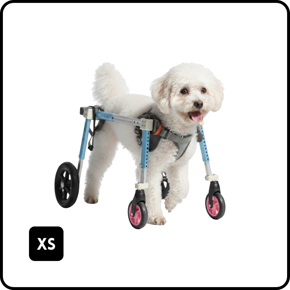 PetsTrot Mini Quad Dog Wheelchair