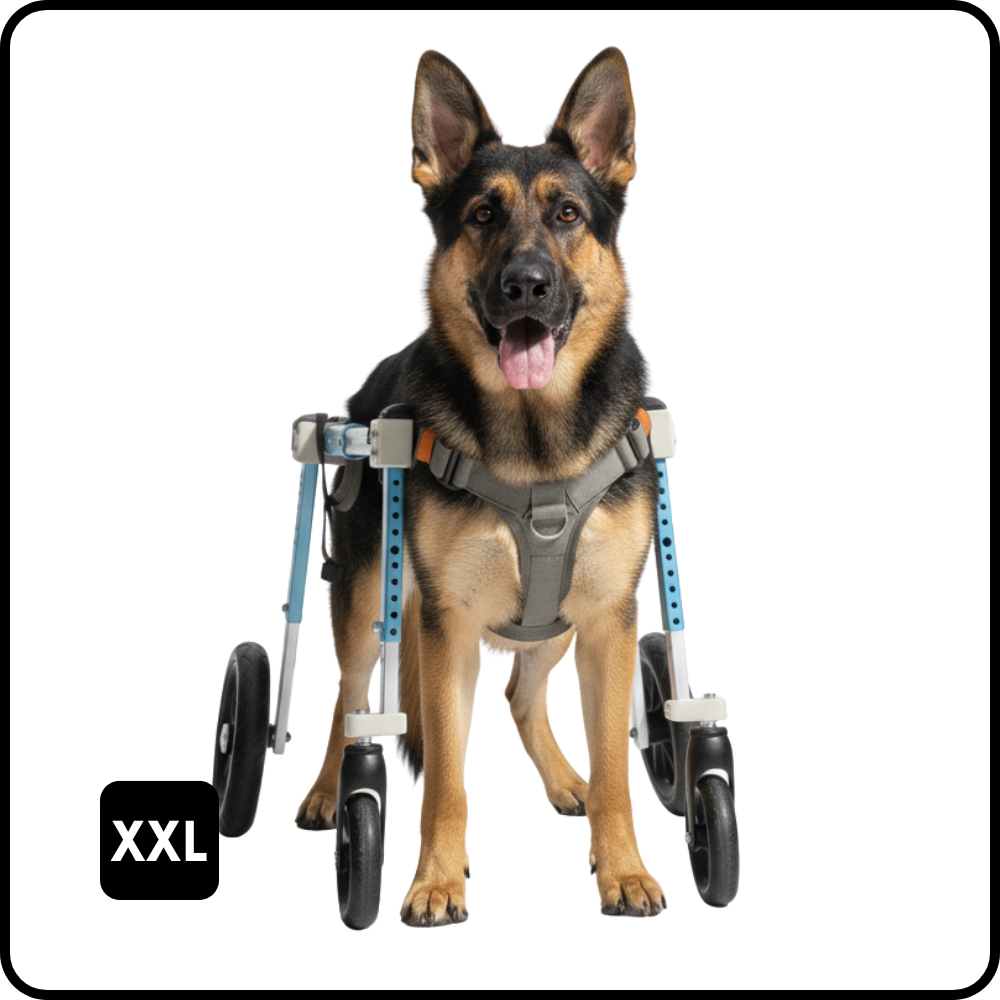 PetsTrot Extra Large Quad Dog Wheelchair