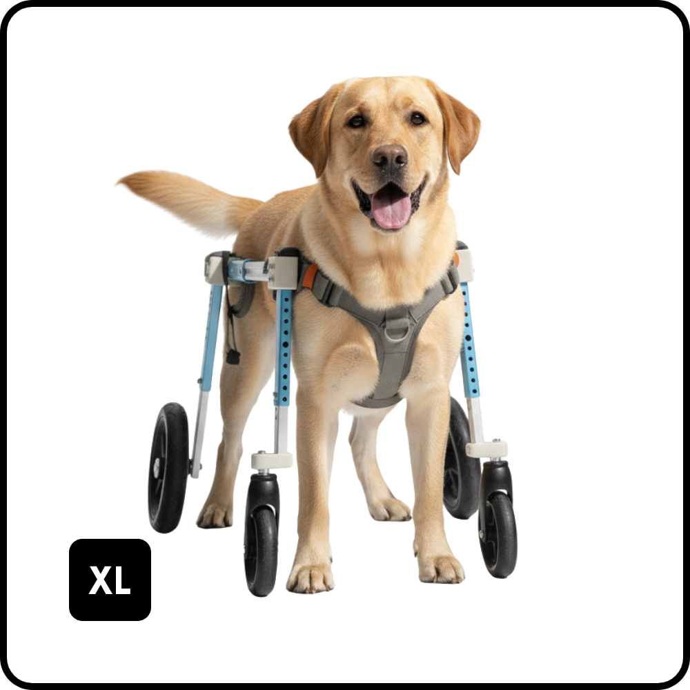 PetsTrot Large Quad Dog Wheelchair